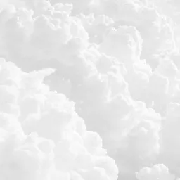 Avatar người đánh giá