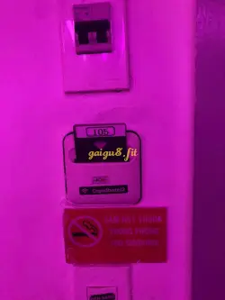 Ảnh đánh giá gái gọi