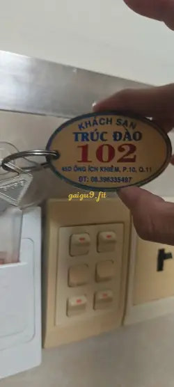 Ảnh đánh giá gái gọi