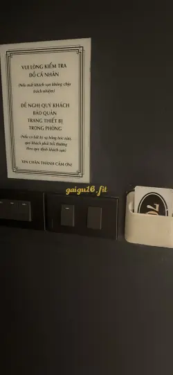 Ảnh đánh giá gái gọi