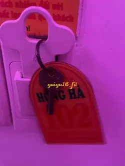 Ảnh đánh giá gái gọi