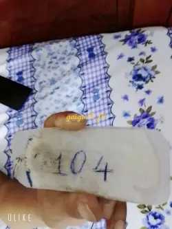 Ảnh đánh giá gái gọi