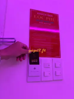 Ảnh đánh giá gái gọi