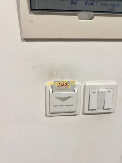 Ảnh đánh giá gái gọi