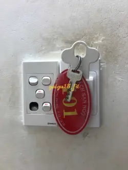 Ảnh đánh giá gái gọi