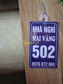 Ảnh đánh giá gái gọi