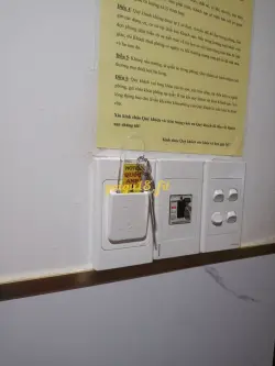 Ảnh đánh giá gái gọi