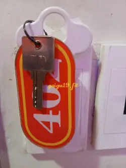 Ảnh đánh giá gái gọi