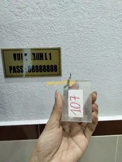 Ảnh đánh giá gái gọi